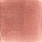 Dye mushroom: Cortinarius ominosus (Surprise Web-cap), Pigment: alum