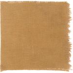 Dye mushroom: Pisolithus arhizus (Dyer's Puffball), Fiber: linen, Mordant: titanium oxalate