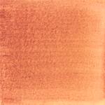 Dye mushroom: Hypomyces lactifluorum (Lobster Mushroom), Pigment: iron