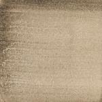 Dye mushroom: Hydnellum stereosarcinon (Stereo Tooth), Pigment: alum