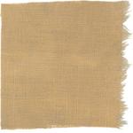 Dye mushroom: Inonotus obliquus (Chaga), Fiber: linen, Mordant: iron