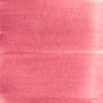 Dye mushroom: Cortinarius neosanguineus (Western Blood Red Cort), Pigment: base