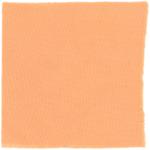 Dye mushroom: Cortinarius californicus (California Red Dye), Fiber: wool, Mordant: alum