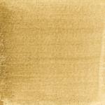 Dye mushroom: Omphalotus olivascens (Western Jack  O'Lantern), Pigment: soda ash