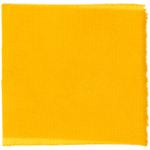 Dye mushroom: Phaeolus schweinitzii (Dyer's Polypore), Fiber: wool, Mordant: alum