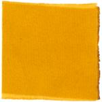 Dye mushroom: Phaeolus schweinitzii (Dyer's Polypore), Fiber: wool, Mordant: tin