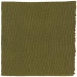 Dye mushroom: Phaeolus schweinitzii (Dyer's Polypore), Fiber: wool, Mordant: iron