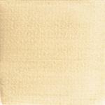 Dye mushroom: Boletus rex-veris (Spring King ), Pigment: alum