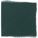 Dye mushroom: Hydnellum regium (null), Fiber: silk, Mordant: iron