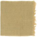 Dye mushroom: Phaeolus schweinitzii (Dyer's Polypore), Fiber: linen, Mordant: iron