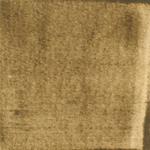 Dye mushroom: Aureoboletus mirabilis (Admirable Bolete), Pigment: base