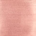 Dye mushroom: Cortinarius subcroceofolius (Cinnamon Cort), Pigment: base