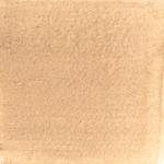 Dye mushroom: Inonotus obliquus (Chaga), Pigment: alum