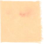 Dye mushroom: Hypomyces lactifluorum (Lobster Mushroom), Fiber: linen, Mordant: titanium oxalate