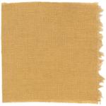 Dye mushroom: Phaeolus schweinitzii (Dyer's Polypore), Fiber: linen, Mordant: iron