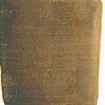 Dye mushroom: Suillus granulatus (Weeping Bolete), Pigment: iron