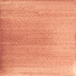 Dye mushroom: Echinodontium tinctorium (Paint Fungus), Pigment: base