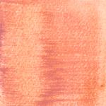 Dye mushroom: Hypomyces lactifluorum (Lobster Mushroom), Pigment: citric acid