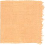 Dye mushroom: Hypomyces lactifluorum (Lobster Mushroom), Fiber: linen, Mordant: aluminum acetate