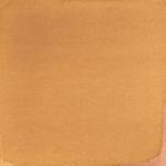 Dye mushroom: Pisolithus arhizus (Dyer's Puffball), Pigment: citric acid