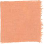 Dye mushroom: Hypomyces lactifluorum (Lobster Mushroom), Fiber: linen, Mordant: iron