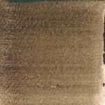 Dye mushroom: Hydnellum regium (null), Pigment: citric acid