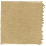 Dye mushroom: Boletus rex-veris (Spring King ), Fiber: linen, Mordant: iron