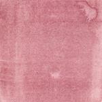 Dye mushroom: Cortinarius uliginosus (Marsh Web-cap), Pigment: alum