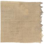 Dye mushroom: Aureoboletus mirabilis (Admirable Bolete), Fiber: linen, Mordant: iron