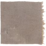 Dye mushroom: Ramaria (Coral), Fiber: linen, Mordant: iron