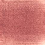 Dye mushroom: Cortinarius ominosus (Surprise Web-cap), Pigment: alum