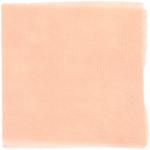 Dye mushroom: Cortinarius smithii (Western Red Dye), Fiber: wool, Mordant: tin