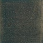 Dye mushroom: Phellodon atratus (null), Pigment: citric acid