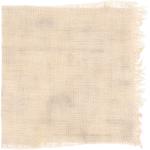 Dye mushroom: Omphalotus olivascens (Western Jack  O'Lantern), Fiber: linen, Mordant: aluminum acetate