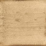 Dye mushroom: Hydnellum aurantiacum (null), Pigment: citric acid