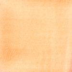 Dye mushroom: Pycnoporellus alboluteus (Orange Sponge Polypore), Pigment: citric acid