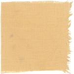 Dye mushroom: Gymnopilus ventricosus (Western Jumbo Gym), Fiber: linen, Mordant: iron