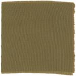 Dye mushroom: Phaeolus schweinitzii (Dyer's Polypore), Fiber: wool, Mordant: iron