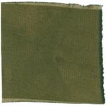 Dye mushroom: Polyozellus atrolazulinus (Blue Chanterelle), Fiber: wool, Mordant: tin