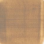 Dye mushroom: Boletus rex-veris (Spring King ), Pigment: base