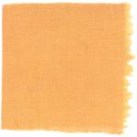 Dye mushroom: Phaeolus schweinitzii (Dyer's Polypore), Fiber: linen, Mordant: titanium oxalate