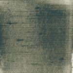 Dye mushroom: Polyozellus atrolazulinus (Blue Chanterelle), Pigment: base