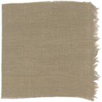 Dye mushroom: Hydnellum aurantiacum (null), Fiber: linen, Mordant: iron