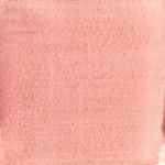 Dye mushroom: Hypomyces lactifluorum (Lobster Mushroom), Pigment: soda ash