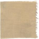 Dye mushroom: Suillus granulatus (Weeping Bolete), Fiber: linen, Mordant: iron