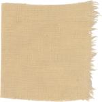 Dye mushroom: Hypholoma fasciculare (Sulfur Tuft), Fiber: linen, Mordant: iron