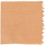 Dye mushroom: Hypomyces lactifluorum (Lobster Mushroom), Fiber: linen, Mordant: iron