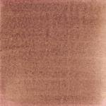 Dye mushroom: Cortinarius ominosus (Surprise Web-cap), Pigment: iron